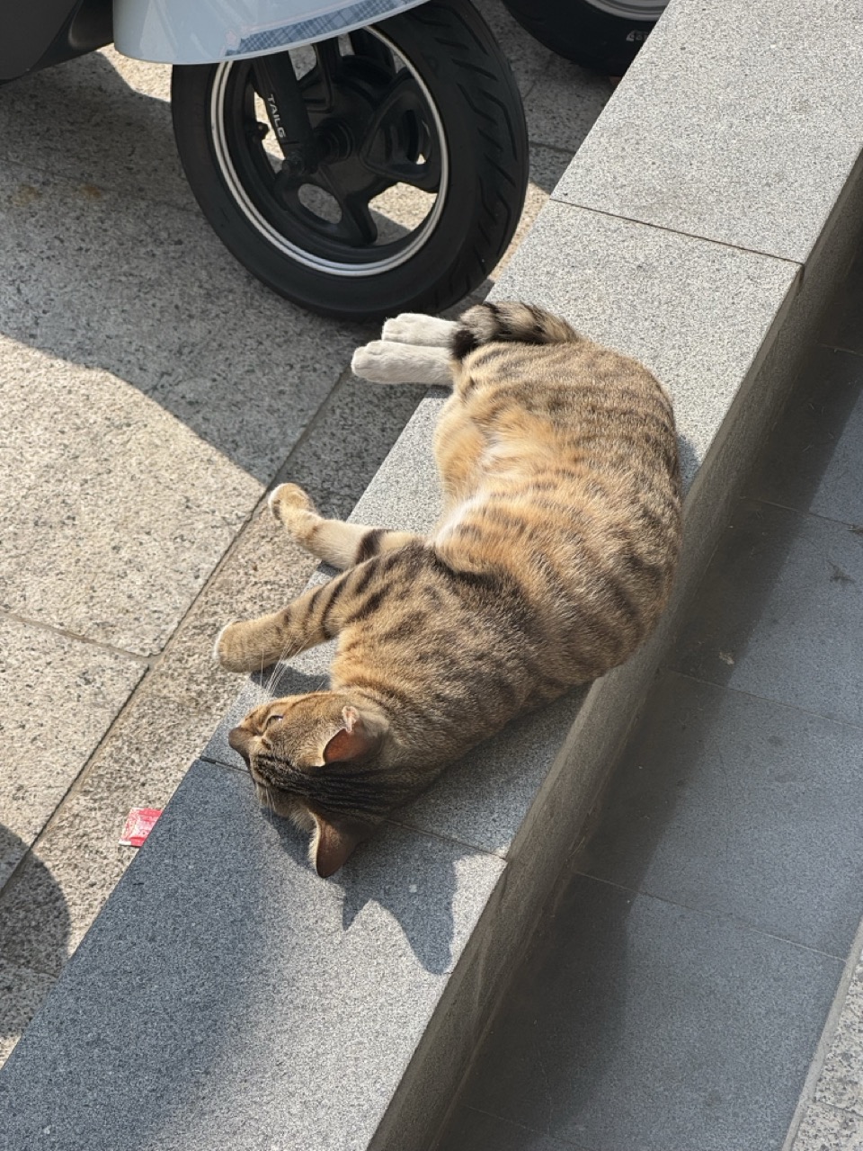 快考试了发现代数B还有几周的内容前两个学期没讲过